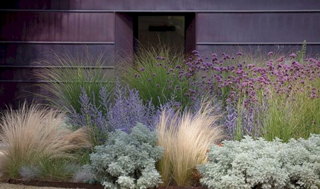 Μεσογειακός κήπος με αγρωστώδη και αρωματικά φυτά ανθεκτικά στην ξηρασία